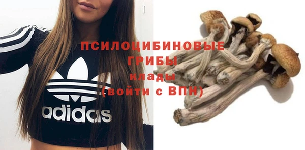 соль ск Нефтегорск