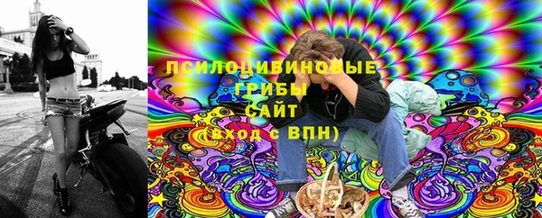 соль ск Нефтегорск