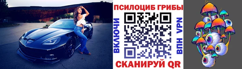 наркота  Рассказово  Галлюциногенные грибы ЛСД 